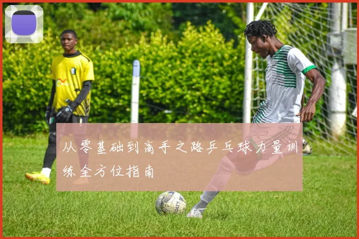 从零基础到高手之路乒乓球力量训练全方位指南
