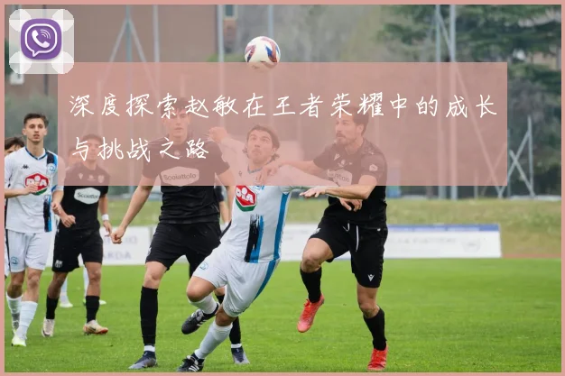 深度探索赵敏在王者荣耀中的成长与挑战之路