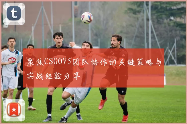 聚焦CSGOV5团队协作的关键策略与实战经验分享