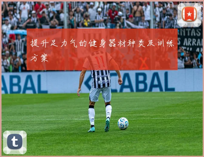 提升足力气的健身器材种类及训练方案