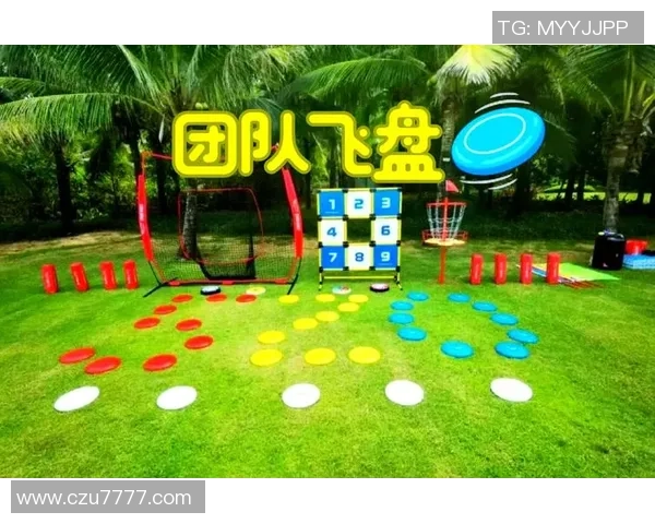 武汉飞盘队与杭州飞盘队的战术灵活性深度解析与赛后反思